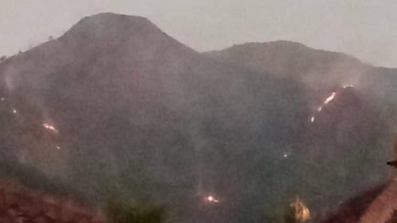 Kebakaran Hutan Gunung Andong, 9 Hektare Lahan di Petak 26E Hangus Dilalap Api