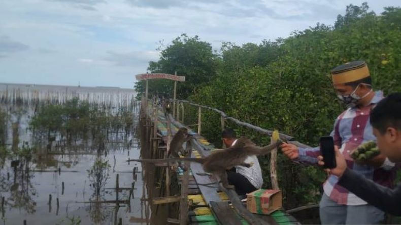 Dorong Perekonomian Masyarakat, Muara Sungai Kurau Dibenah Jadi Desa Wisata