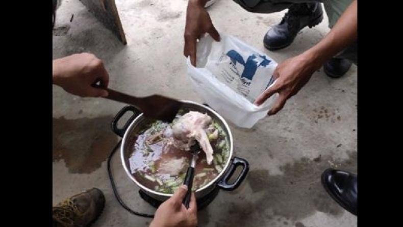 Terungkap, Buaya yang Disembelih TKA China di Konawe Langsung Disantap