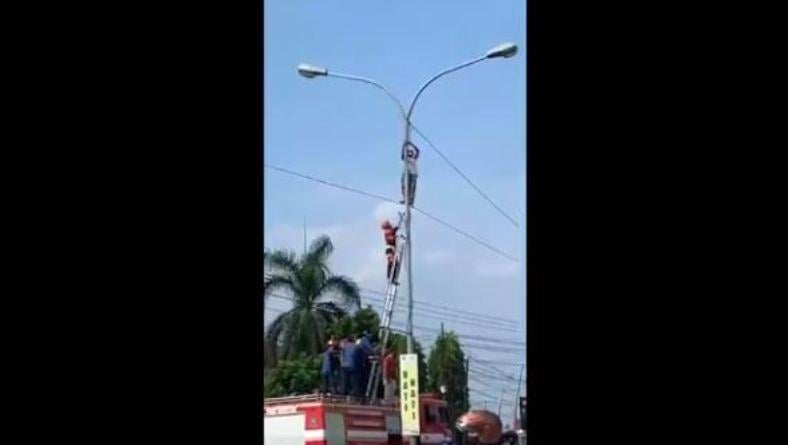 title Naik Tiang Lampu Penerangan Jalan, Aksi Pria Tak Dikenal Ini Gegerkan Warga Boyolali Naik Tiang Lampu Penerangan Jalan, Aksi Pria Tak Dikenal Ini Gegerkan Warga Boyolali