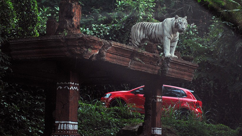 Taman Safari Indonesia Kembali Dibuka untuk Wisatawan - Bagian 2