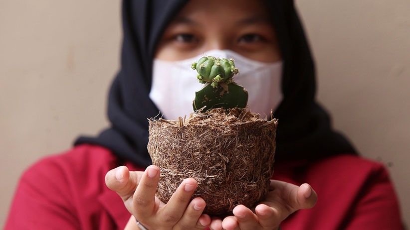 Membuat Pot Bunga Cantik Berbahan Limbah Pelepah Pisang - Bagian 2