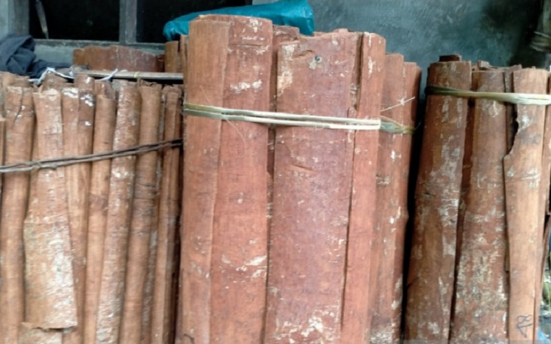 Kulit Kayu Sintuk Jadi Dagangan Baru Warga Loksado