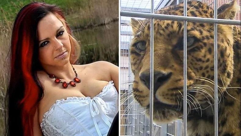 Wajah Model Ini Robek Diserang Macan Tutul saat Pemotretan