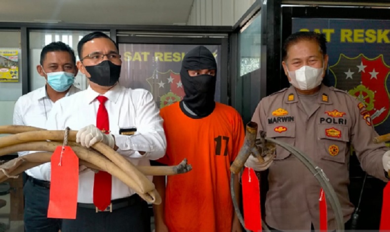 Polisi Tangkap Bos PETI di Singkawang, Berperan Rekrut Pekerja dan Sediakan Alat Berat