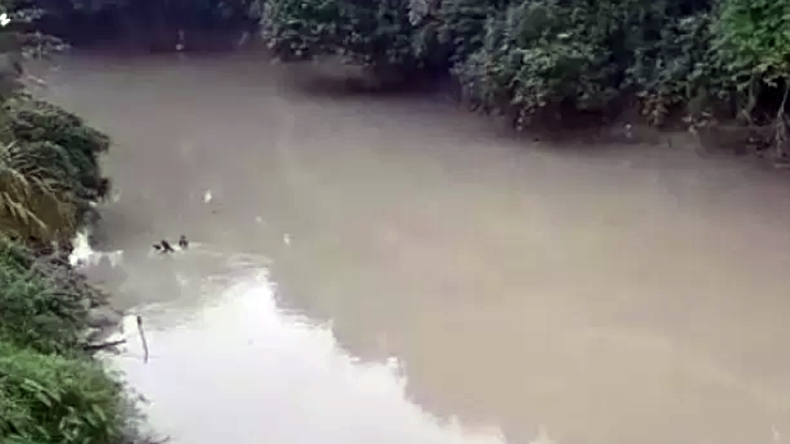 Berubah Jadi Hitam Pekat, Air Sungai Batang Siat Diperiksa