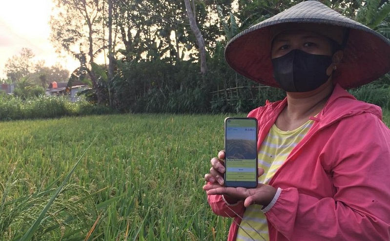 Ciptakan E-Rice Detector, Mahasiswa UMM Bantu Petani Deteksi Penyakit Padi 