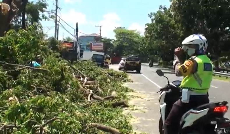 title Polisi di Bali Kena Prank Pohon Tumbang di Jalan Bypass Ida Bagus Mantra Polisi di Bali Kena Prank Pohon Tumbang di Jalan Bypass Ida Bagus Mantra