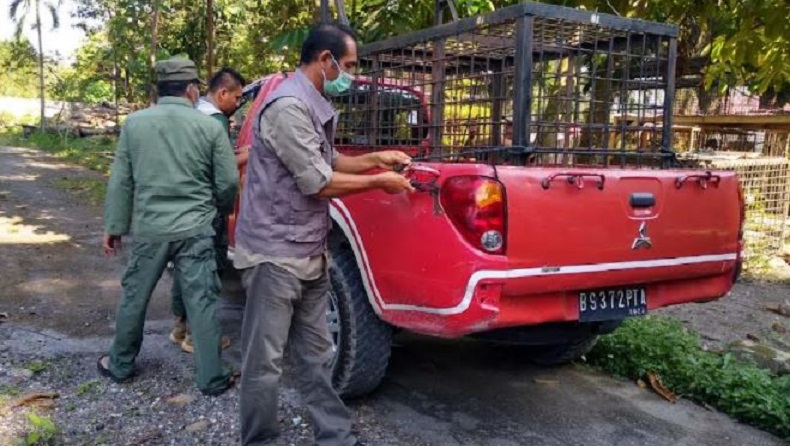 Potongan Kepala Remaja di Siak yang Dimangsa Harimau Ditemukan saat Polisi Olah TKP