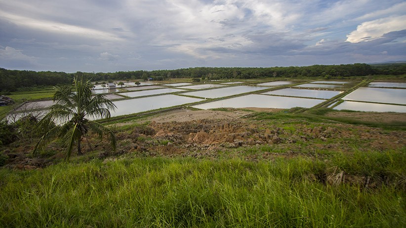 18 Hektare Sawah Rusak akibat Pergerakan Tanah di Kalimantan Selatan - Bagian 2