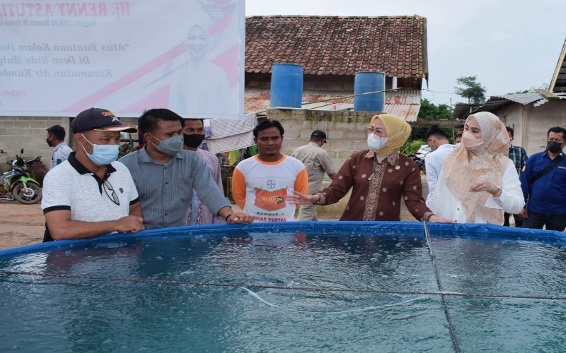 Warga Banyuasin Kembangkan Sistem Bioflok untuk Budi Daya Ikan Ramah Lingkungan