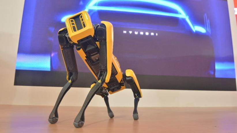 Hyundai Boyong Robot Pintar Berkaki 4 Ke Indonesia