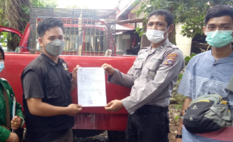 2 Ekor Elang Brontok Terluka Diserahkan Satpolair Polres Agam ke BKSDA