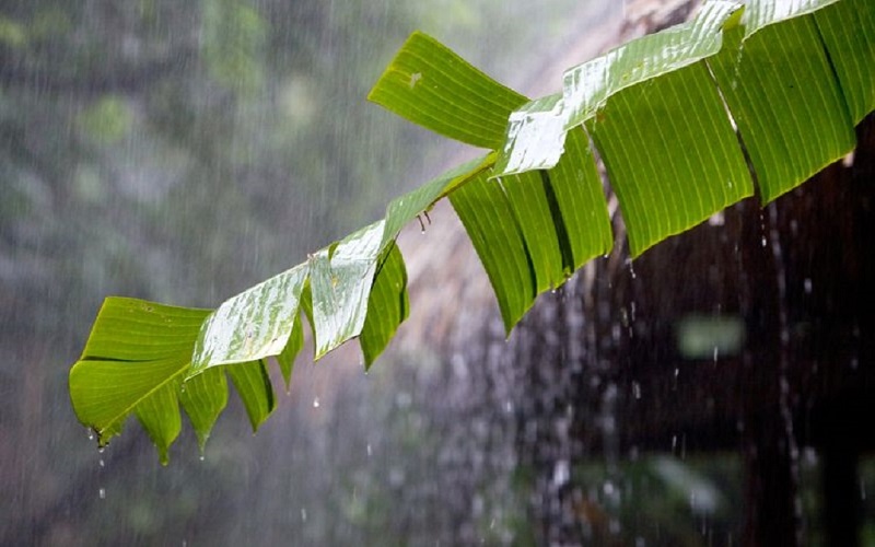 BMKG Peringatkan Potensi Hujan di Palembang dan Daerah Lain di Sumsel 