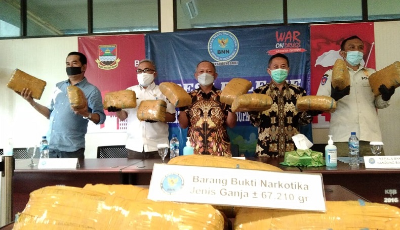 BNNP Jabar dan BNN KBB Bekuk Kurir 67 Kg Ganja di Tol Cipularang