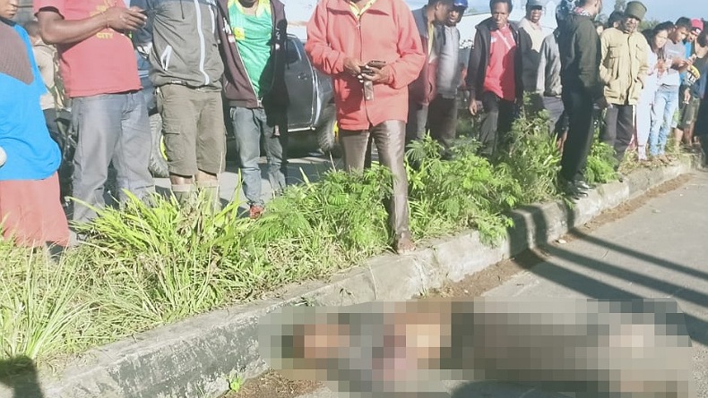 Tabrak Kerbau di Jalan, Pengendara Motor di Wamena Tewas Mengenaskan
