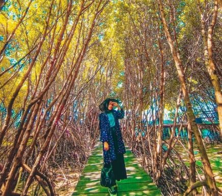 7 Tempat Hunting Foto di Pantura Paling Hits