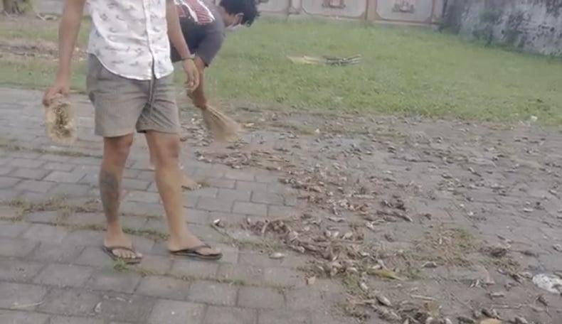 Terungkap, Ini Penyebab Ribuan Burung Pipit Mati Mendadak di Gianyar