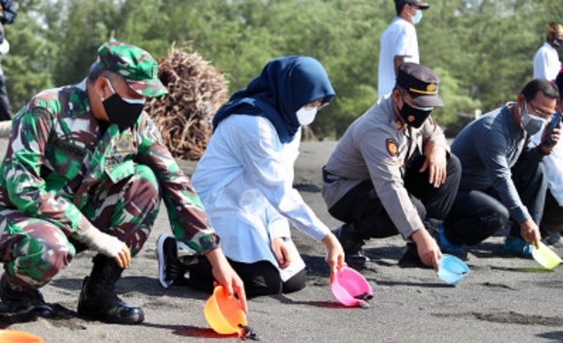Pelepasan Tukik Tandai Pembukaan Pariwisata di Banyuwangi