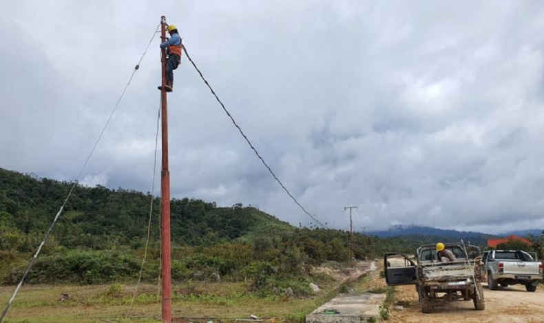 Pemasangan Jaringan PLN Terkendala Tanaman Sawit