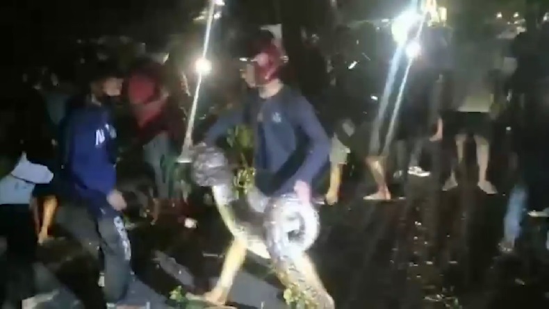 title Ular Piton Sepanjang 4 Meter Bergelantungan di Pohon, Warga Heboh Ular Piton Sepanjang 4 Meter Bergelantungan di Pohon, Warga Heboh
