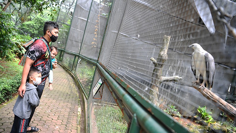 Taman Reptil TMII Dibuka, Pengunjung Bisa Berfoto dengan Ular Piton Albino  - Bagian 2