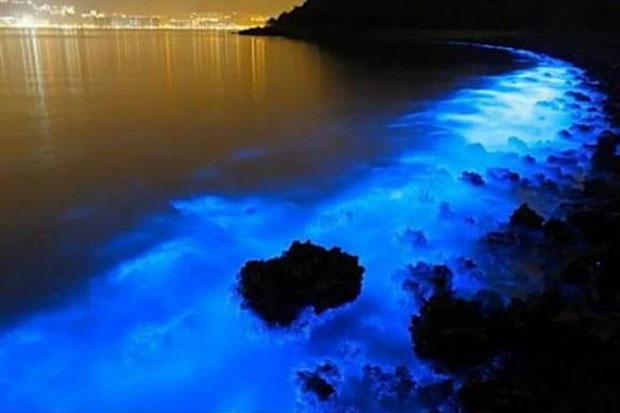 title   Begini Kata Warga soal Fenomena Laut Bercahaya di Pesisir Selatan Jogja     Begini Kata Warga soal Fenomena Laut Bercahaya di Pesisir Selatan Jogja