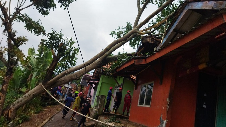 Diterjang Badai, Pohon Tumbang Timpa Rumah Warga di Cibadak Sukabumi