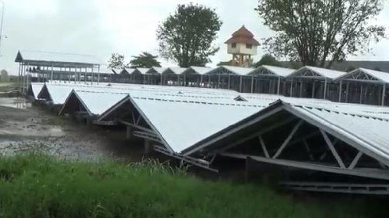 Bangunan Pasar Darurat di Kendal Ambruk Disapu Angin Kencang 