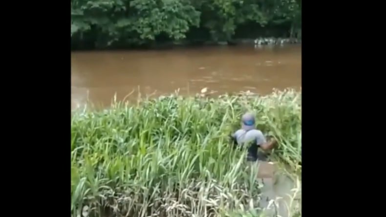 Viral, Rusa di Pesisir Selatan Sumbar Dibacoki Orang hingga Merintih