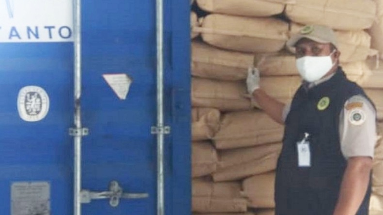 Ekspor Kelapa Gorontalo Meningkat 5 Kali Lipat Sepanjang 2021