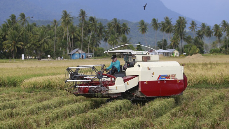 Penuhi Kebutuhan IKN, Gubernur Kaltim Minta Produksi Pangan Digenjot