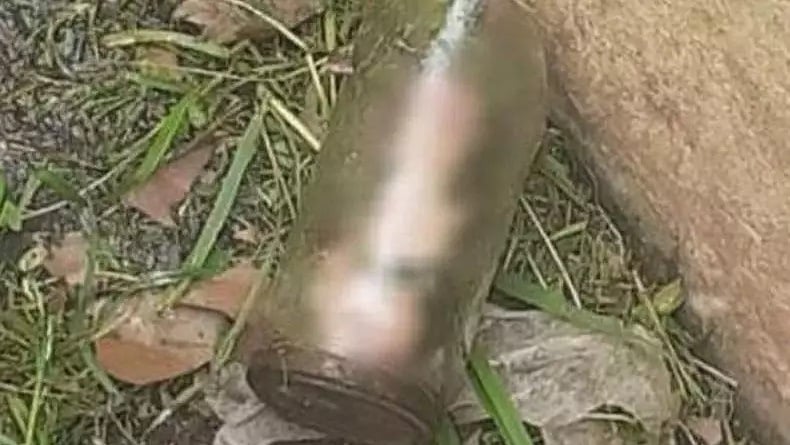 title Potongan Penis dalam Toples Kaca Ditemukan Tukang Kebun Taman Potongan Penis dalam Toples Kaca Ditemukan Tukang Kebun Taman