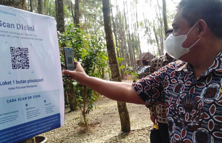 Sinyal Internet Lemah, Wisatawan Kesulitan Scan Bar Code di Objek Wisata Pinus Sari Bantul