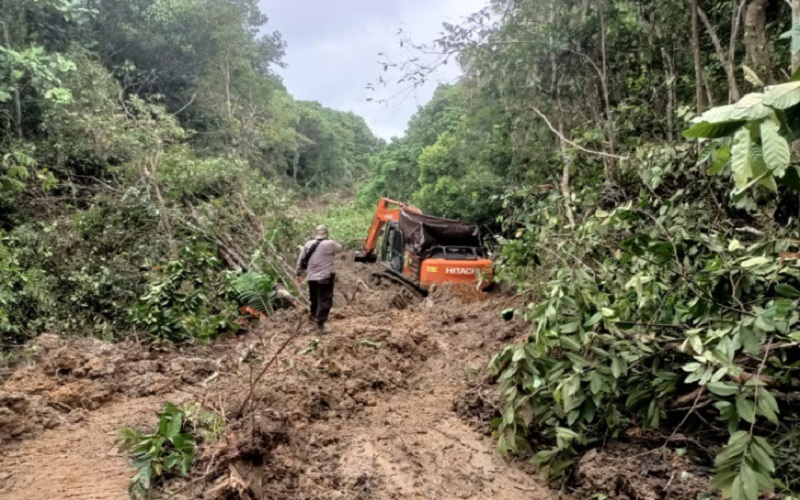 Operasi Penertiban Tambang Liar di Batu Harang, Tim Temukan Alat Berat Ditutup Terpal