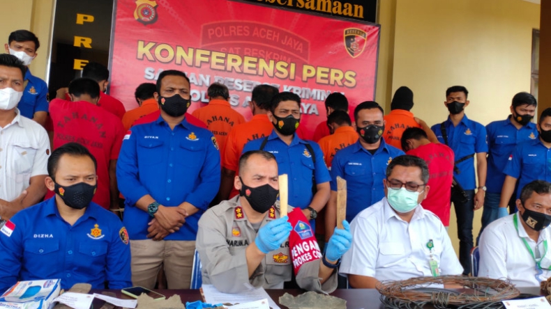 Polisi Tangkap 11 Pelaku Pembantaian 5 Gajah di Aceh Jaya