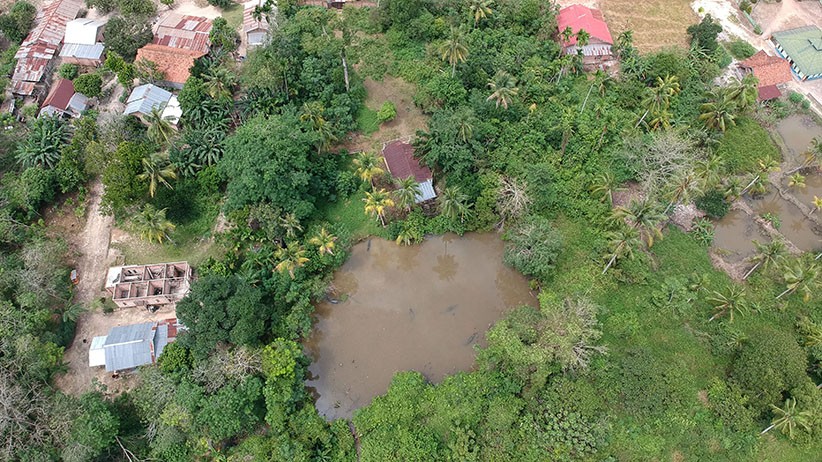 Penangkaran Buaya Terbengkalai, Pembatas dengan Permukiman hanya Dipagari Seng - Bagian 2