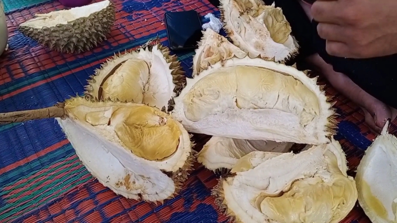 Liburan Akhir Pekan Sambil Nikmati Durian Montong Gunung Setan