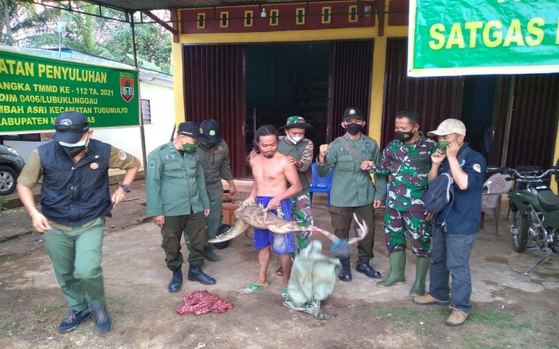 Prajurit TNI Serahkan Buaya Senyulong ke BKSDA