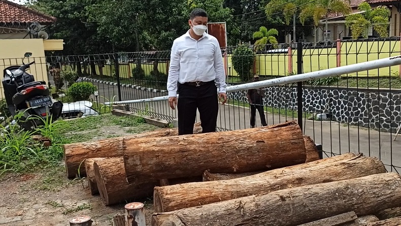 2 Tersangka Illegal Logging di Sukabumi Terancam 5 Tahun Penjara dan Denda Rp1 Miliar