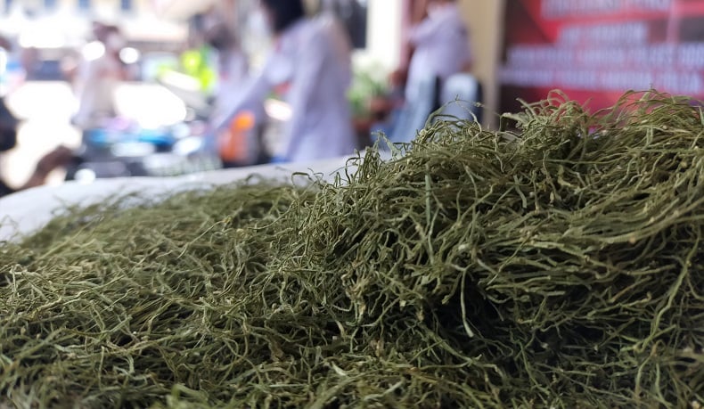 Simpan Tembakau Sintetis 8,86 Gram, Warga Mekarmukti KBB Ditangkap Polisi