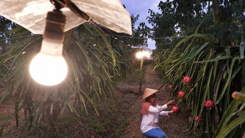 Pasokan Melimpah, PLN Suluttenggo Siap Layani Daya Listrik Tak Terbatas bagi Konsumen