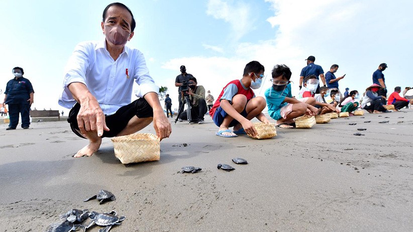 Copot Sepatu, Presiden Jokowi Melepas Tukik di Pantai Kemiren Cilacap - Bagian 3