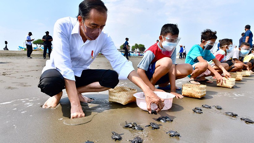 Copot Sepatu, Presiden Jokowi Melepas Tukik di Pantai Kemiren Cilacap - Bagian 1