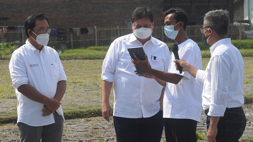 Masuk ke Sawah, Menko Airlangga Hartarto Bantu Petani Tanam Padi - Bagian 3
