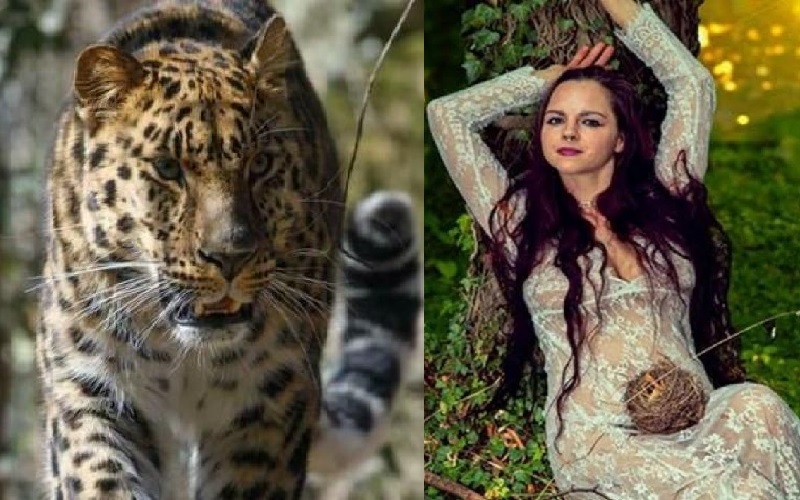 Asyik Berpose Seksi, Model Cantik Diterkam Macan Tutul