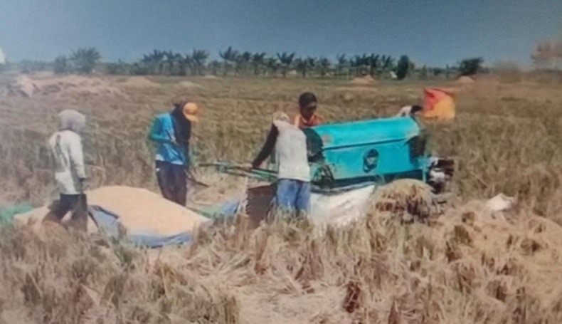 title Petani Jagapura Cirebon Kesulitan Dapat Pupuk Subsidi, Pembelian Masih Dibatasi Petani Jagapura Cirebon Kesulitan Dapat Pupuk Subsidi, Pembelian Masih Dibatasi