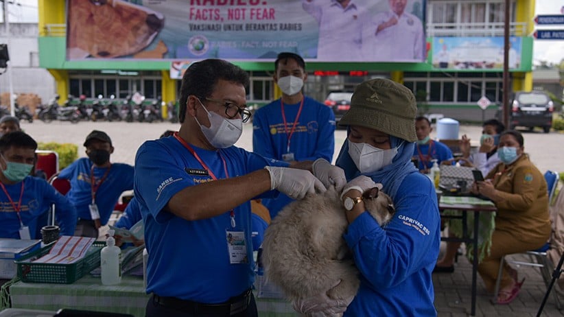 Kota Medan Masuk Daftar Tertinggi Penularan Rabies, 100 Hewan Divaksinasi Gratis - Bagian 3