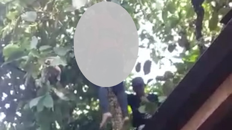 5 Fakta Janda Muda di Sukabumi Gantung Diri di Pohon Jambu, Nomor 3 Bikin Malu