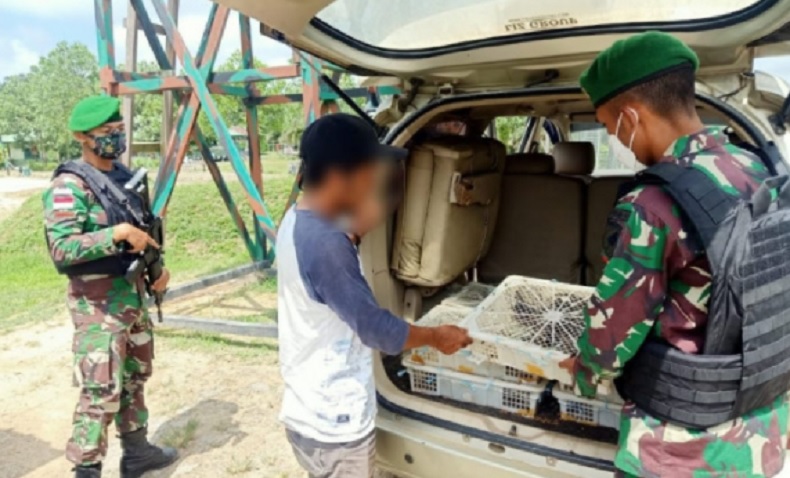 Patroli di Perbatasan, Satgas Pamtas Gagalkan Penyelundupan 150 Ekor Burung dari Malaysia